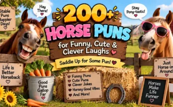 200+ Horse Puns for Funny, Cute & Clever Laughs