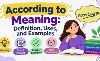 According to Meaning: Definition, Uses, and Examples