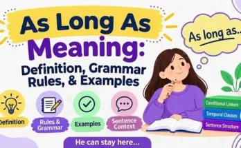 As Long As Meaning: Definition, Rules & Examples
