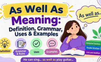 As Well As Meaning: Definition, Grammar, Uses & Examples