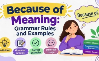 Because of Meaning: Grammar Rules and Examples