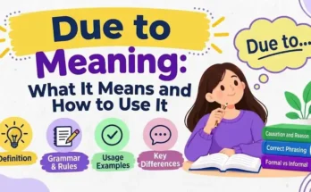 Due to Meaning: What It Means and How to Use It