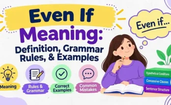 Even If Meaning: Definition, Grammar Rules, and Examples
