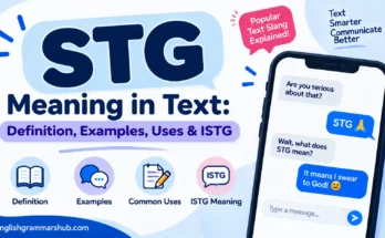 STG Meaning in Text: Definition, Examples, Uses & ISTG