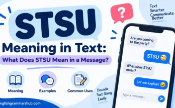 STSU Meaning in Text: What Does STSU Mean in a Message?