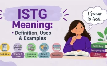 ISTG Meaning in Text: Definition, Uses & Examples